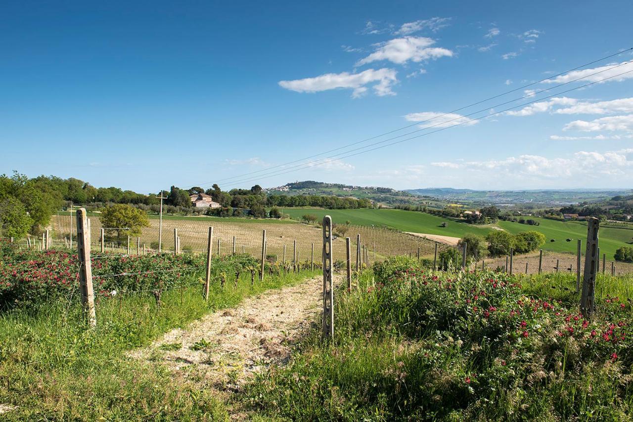 A11 - Varano, Delizioso Trilocale Con Giardino アンコーナ エクステリア 写真