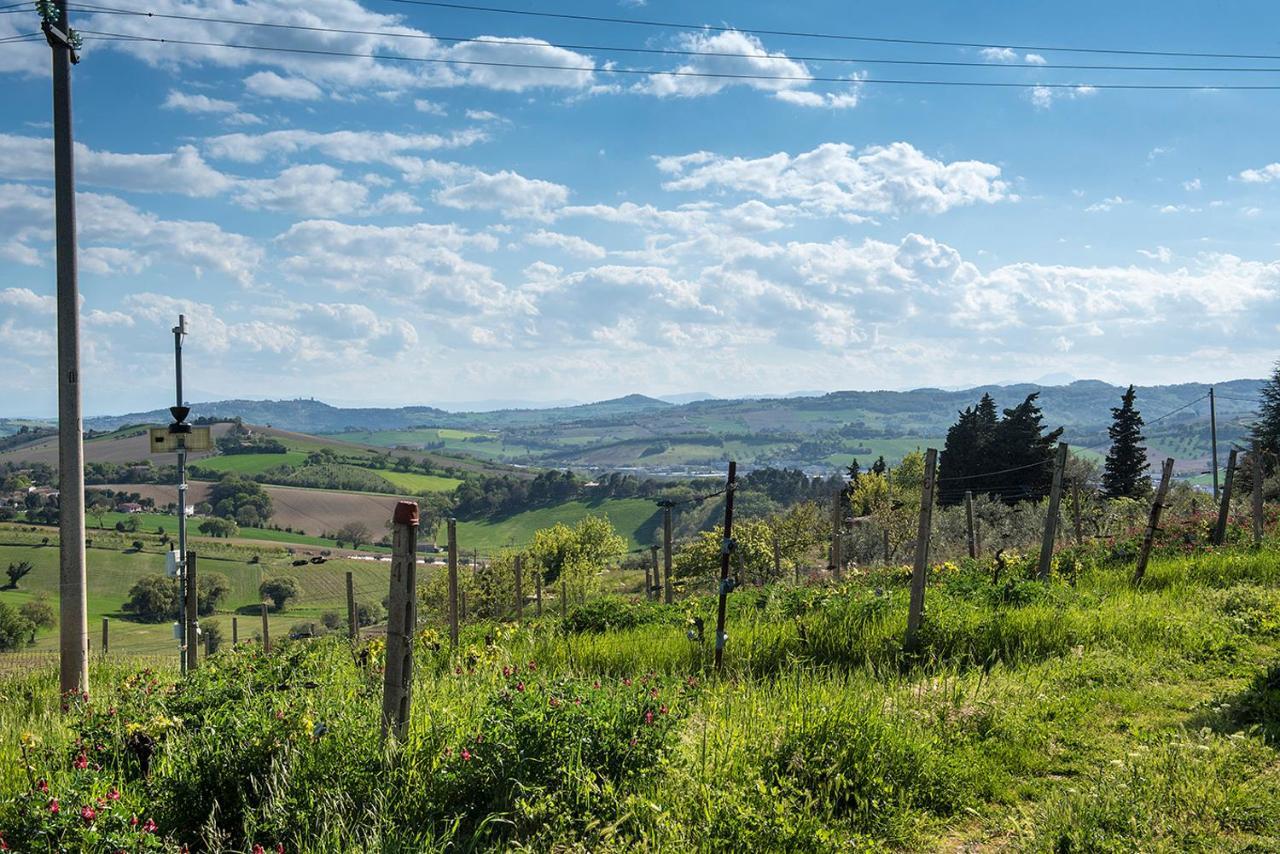 A11 - Varano, Delizioso Trilocale Con Giardino アンコーナ エクステリア 写真